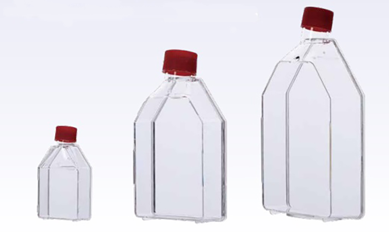 Bacteria culture flask(图2)